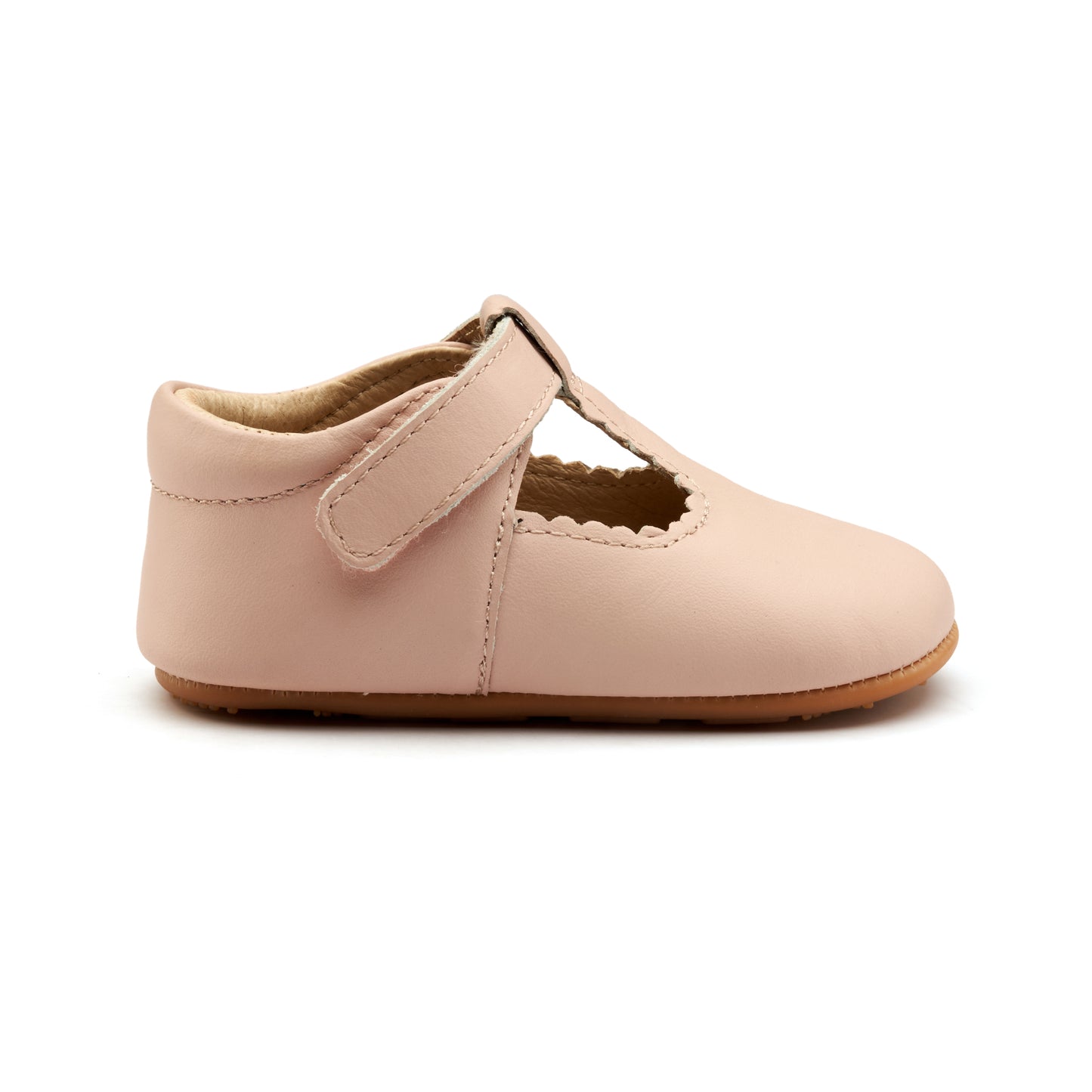 Rose Baby - Dalia