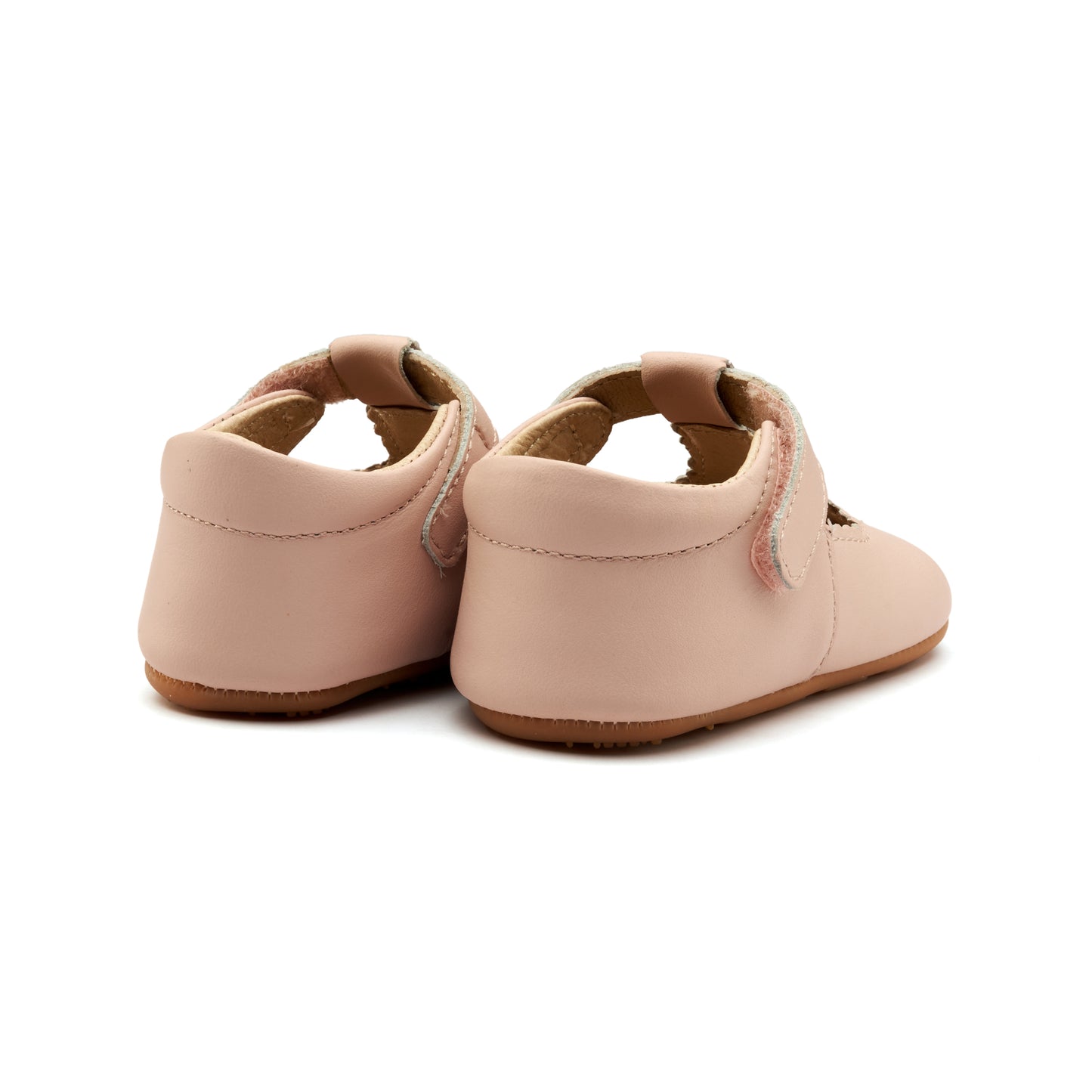 Rose Baby - Dalia